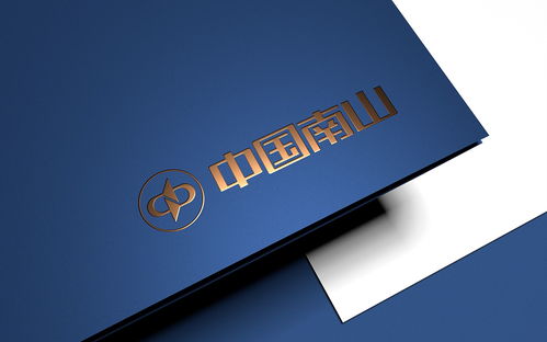 中國南山集團品牌標志設計與集團VI形象設計——進出口代理業務的戰略支撐