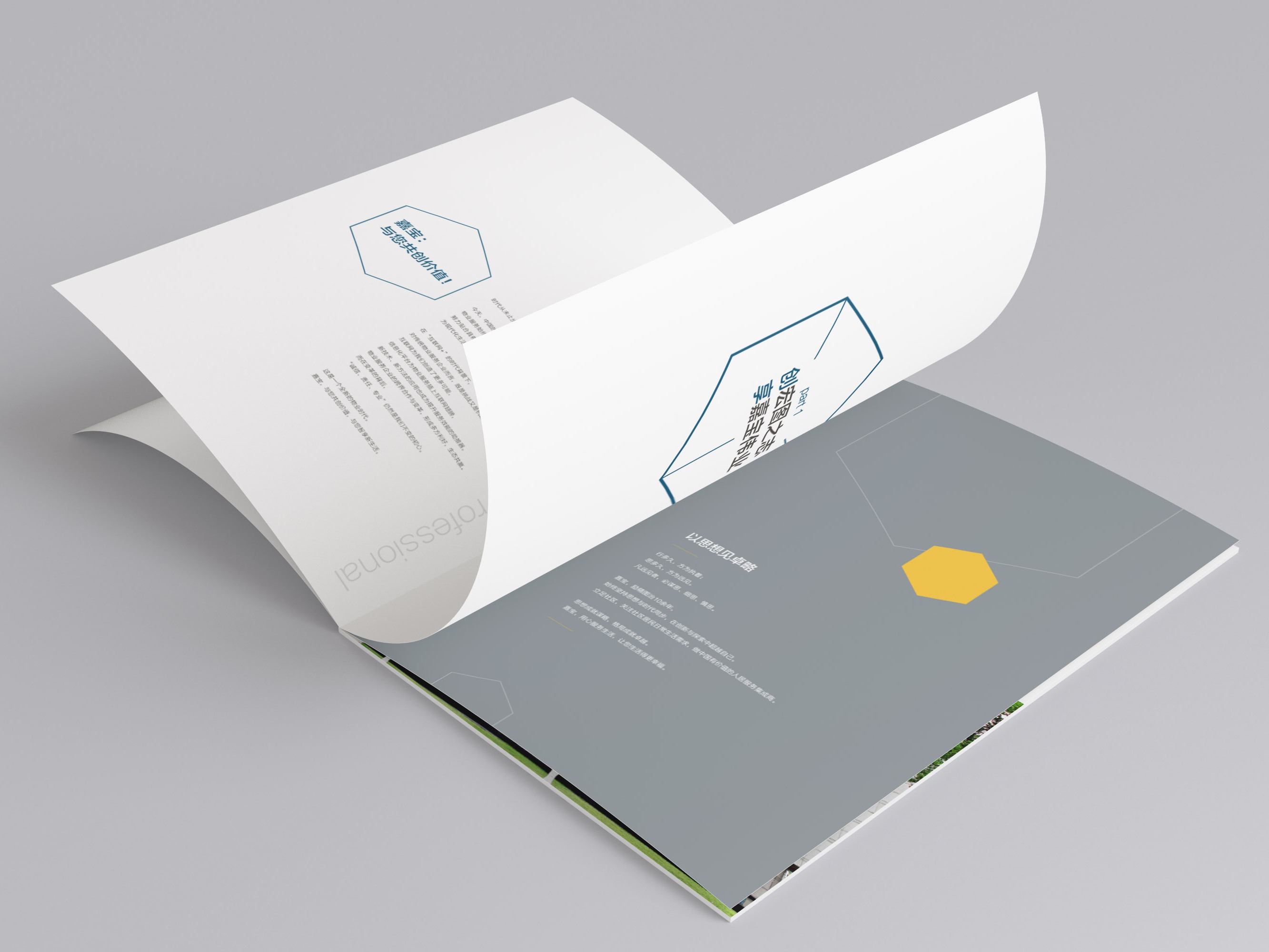 公開收藏夾 畫冊(cè)與進(jìn)出口代理在站酷的創(chuàng)意交融